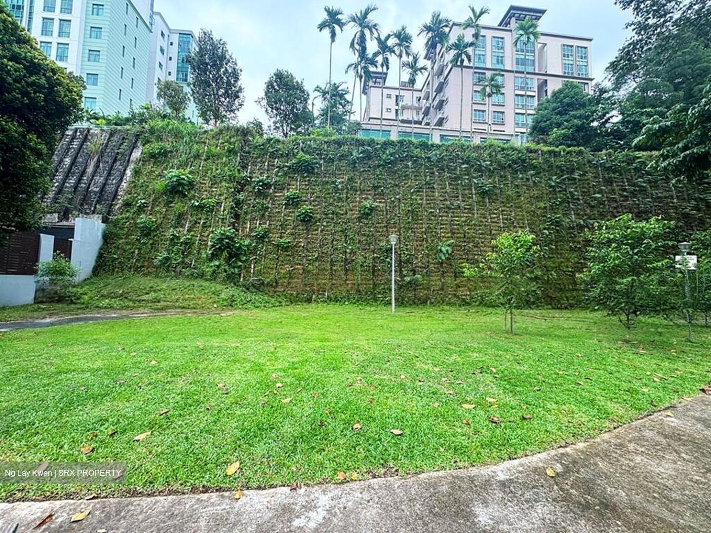 Hillview Avenue (D23), Terrace #507508761